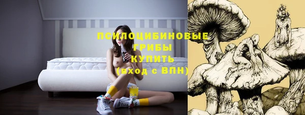 крисы Баксан