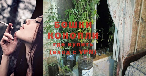 крисы Баксан