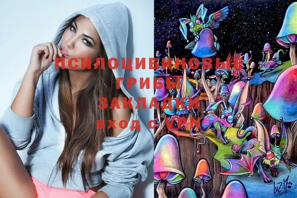 МДПВ Остров