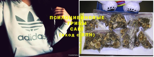 мет Арсеньев
